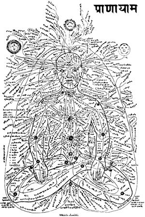 Ancient nadi chart representing the flow of prana - the essence of vata dosha. 