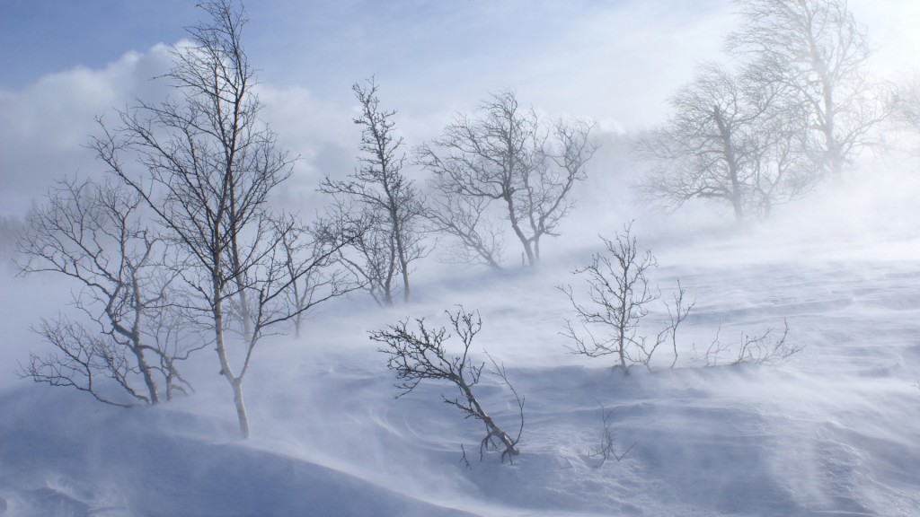 Windy winter snow storm representing Vata season. 